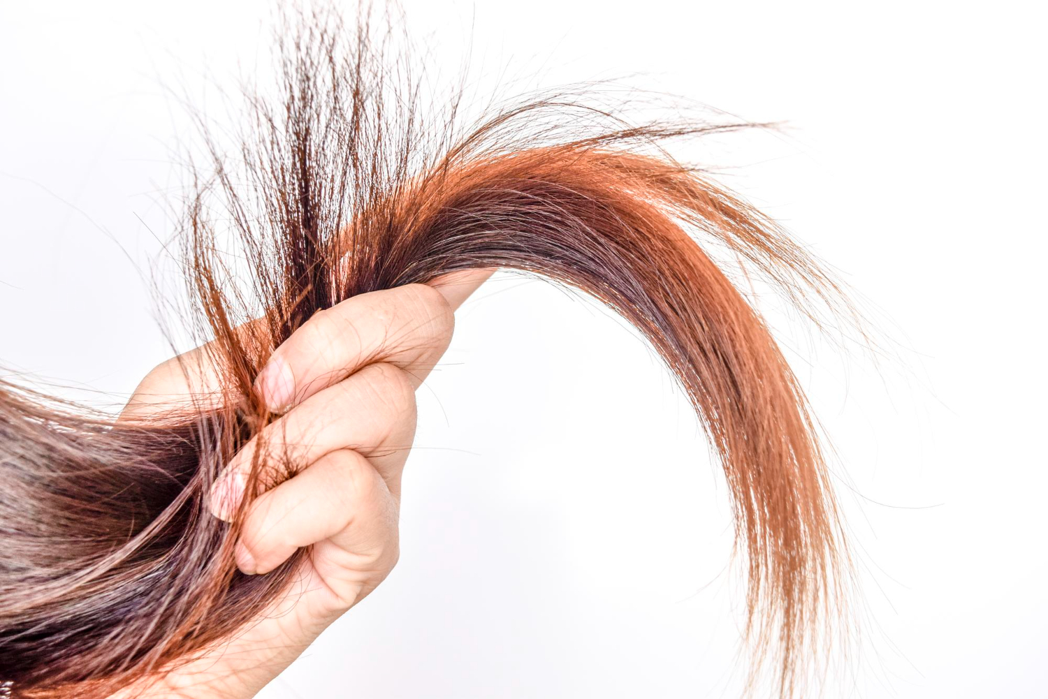 The Science Behind Split Ends: Why They Increase Over Time